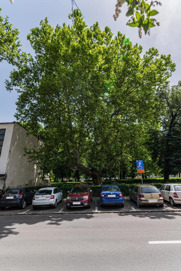 Sabin Apartments Private Parking Брашов Екстериор снимка